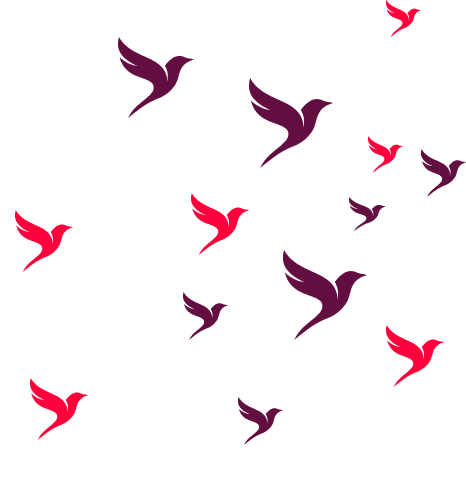 Home 6 pajaros volando