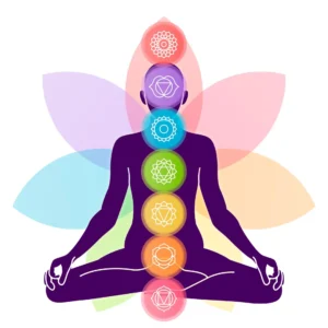 Web para terapeutas holisticos