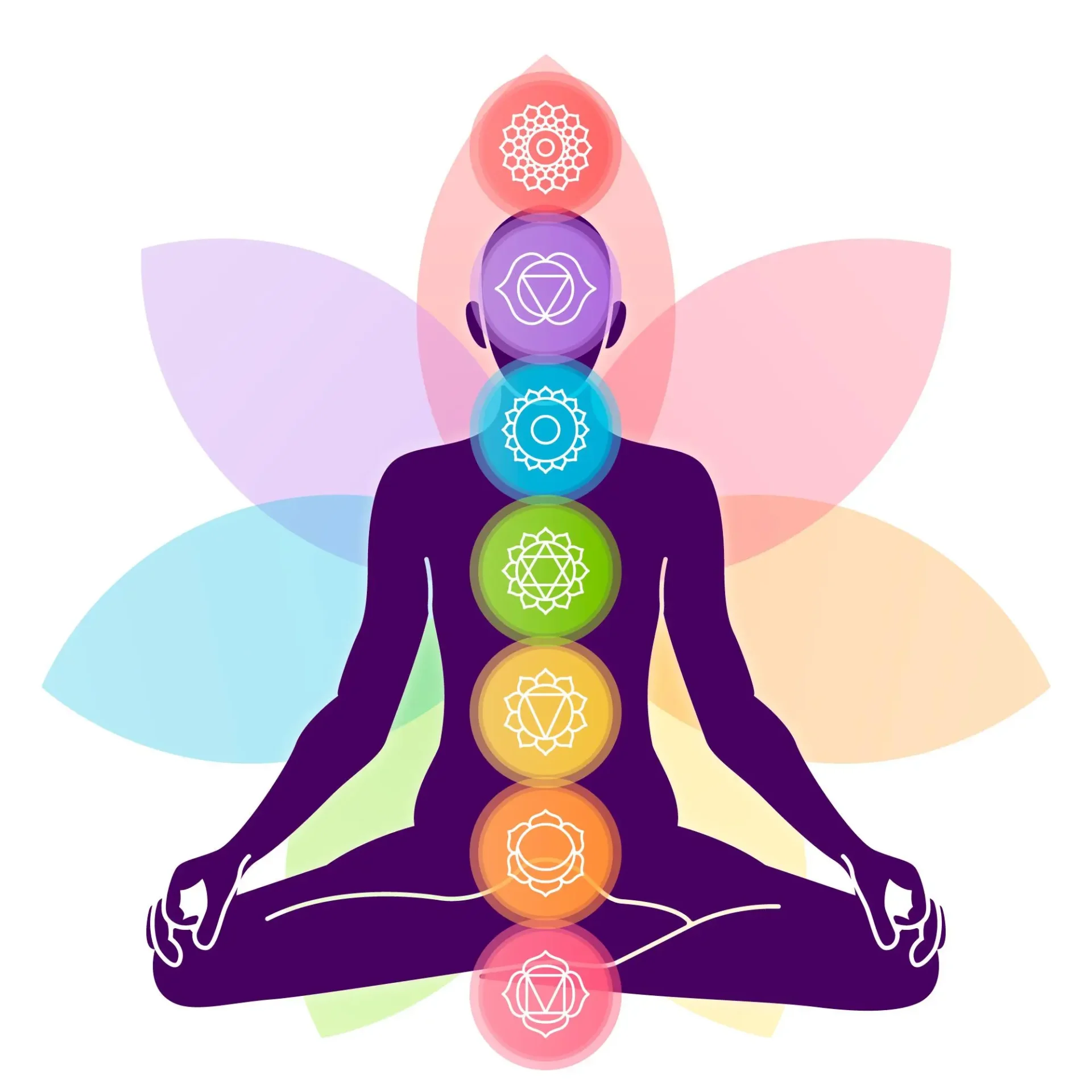 Web para terapeutas holisticos